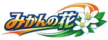 みかんの花